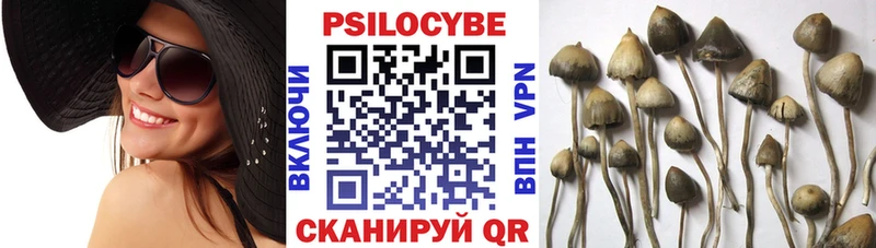 Псилоцибиновые грибы мицелий  Данилов 